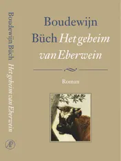 Omslag van Het geheim van Eberwein