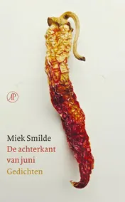 Omslag van De achterkant van juni
