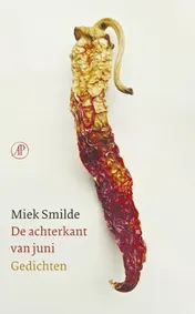 Omslag van De achterkant van juni