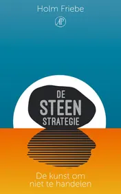 Omslag van De steenstrategie