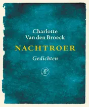 Omslag van Nachtroer