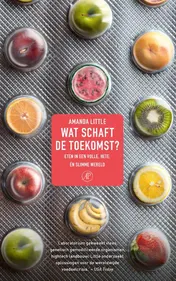 Omslag van Wat schaft de toekomst?
