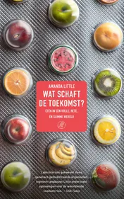 Omslag van Wat schaft de toekomst?