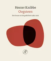 Omslag van Oogsteen