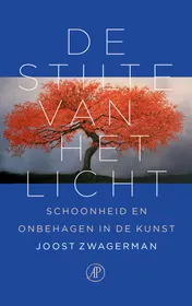 Omslag van De stilte van het licht
