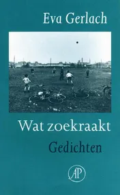 Omslag van Wat zoekraakt