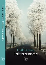 Omslag van Een stenen moeder