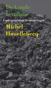 Omslag van De koude revolutie