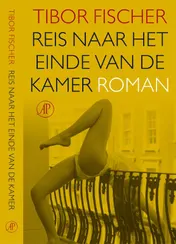 Omslag van Reis naar het einde van de kamer