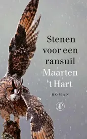 Omslag van Stenen voor een ransuil