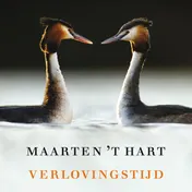Omslag van Verlovingstijd