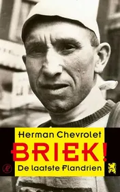 Omslag van Briek!