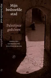 Omslag van Mijn bedroefde stad