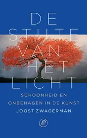 Omslag van De stilte van het licht