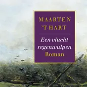 Omslag van Een vlucht regenwulpen
