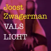 Omslag van Vals licht