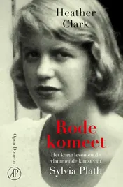Omslag van Rode komeet