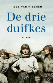 Omslag van De drie duifkes