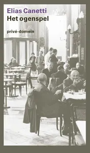 Omslag van Het ogenspel