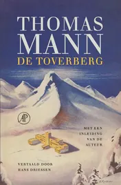 Omslag van De toverberg