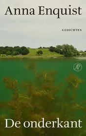 Omslag van De onderkant