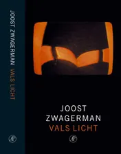 Omslag van Vals licht