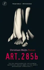 Omslag van ART. 285b