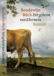 Omslag van Het geheim van Eberwein