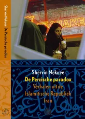 Omslag van De Perzische paradox