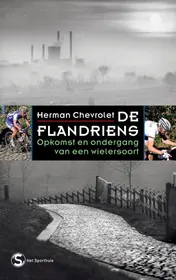 Omslag van De Flandriens
