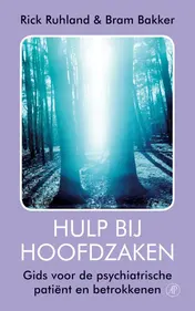 Omslag van Hulp bij hoofdzaken