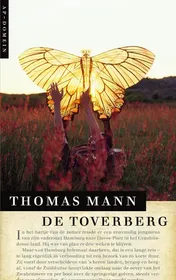Omslag van De Toverberg