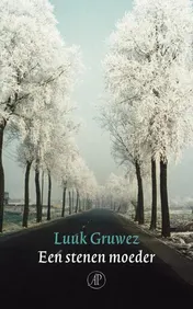 Omslag van Een stenen moeder