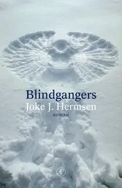 Omslag van Blindgangers