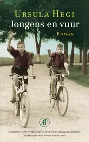 Omslag van Jongens en vuur