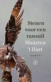 Omslag van Stenen voor een ransuil