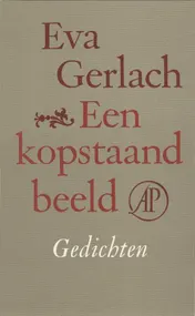 Omslag van Een kopstaand beeld
