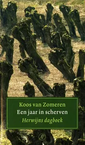 Omslag van Een jaar in scherven