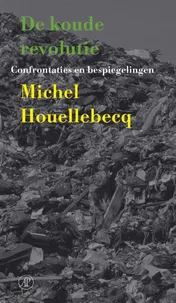 Omslag van De koude revolutie