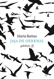 Omslag van Jaja de oerknal