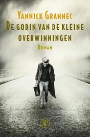 Omslag van De godin van de kleine overwinningen