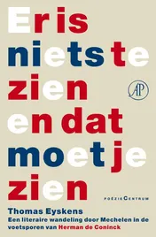Omslag van Er is niets te zien en dat moet je zien