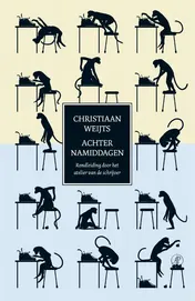 Omslag van Achternamiddagen