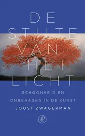 Omslag van De stilte van het licht