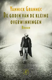 Omslag van De godin van de kleine overwinningen