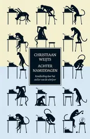Omslag van Achternamiddagen