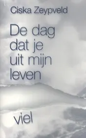 Omslag van De dag dat je uit mijn leven viel