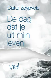 Omslag van De dag dat je uit mijn leven viel
