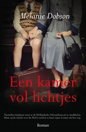 Omslag van Een kamer vol lichtjes