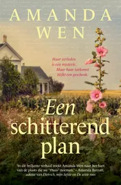 Omslag van Een schitterend plan